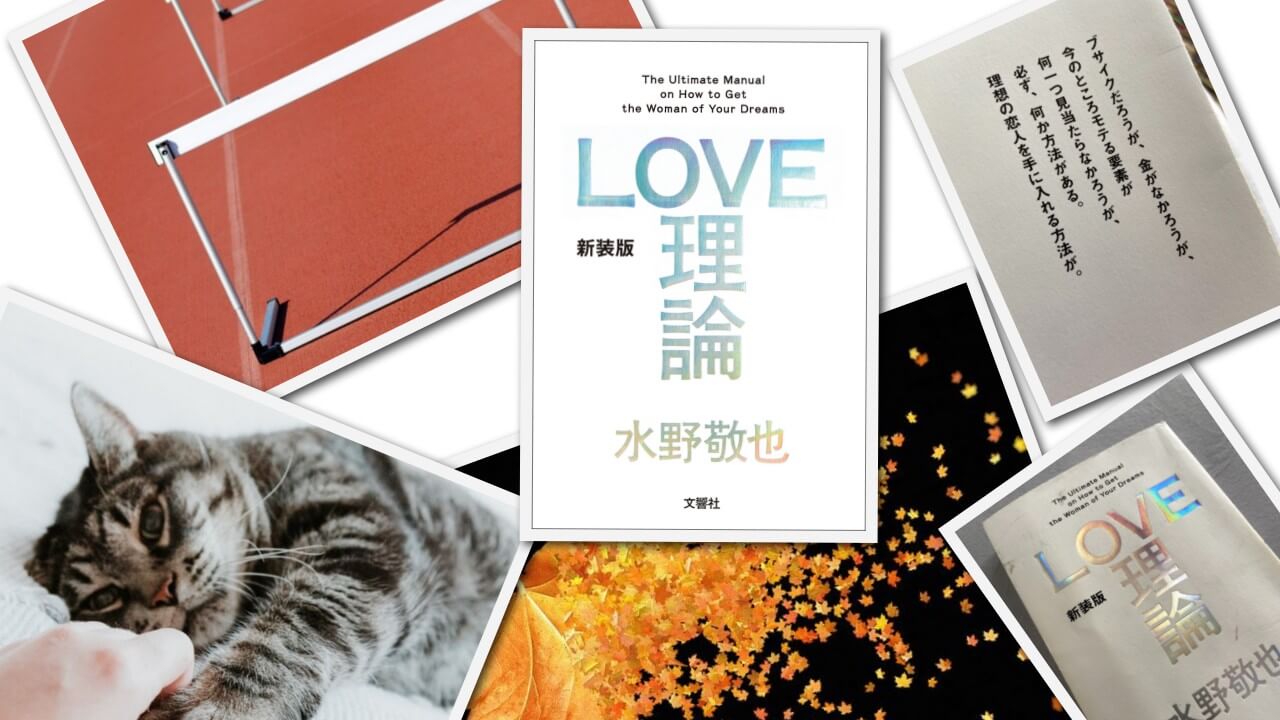 【新装版・LOVE理論／水野敬也(水野愛也)著】レビュー＆ご紹介『恋愛に苦しんでるならこの一冊』 