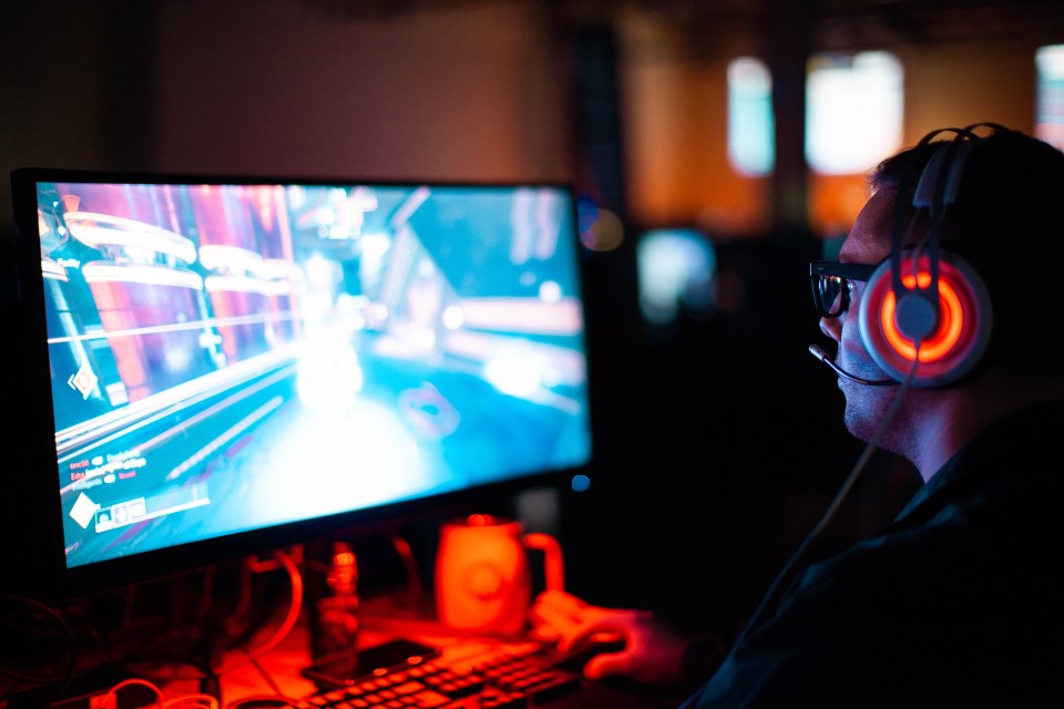 ゲームにプロ資格は必要か？週間ゲームランキングでモンハン：ワールドが！Gフレームとディズニーについても少しだけ 