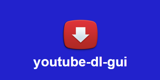 Youtube-DLGが0%で動画がダウンロードできない場合の対処法【代替案:Vividlを使用する】
