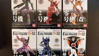 EVA-FRAME